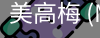 美高梅